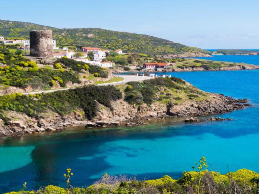 Isle of Asinara. Sardinia